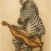 zebra_dulcimist