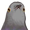 nonhuman_resources