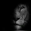 abo..zahrah