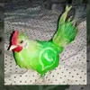 pingolinha171