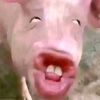 khrlllanam_