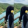 ijaa4hxya