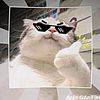 dilz420