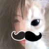 hy_wko