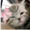 reinalinjoydsy