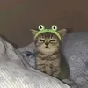 nosnitching3