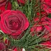 flower_12371