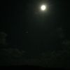 jack_234234
