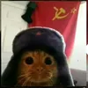 vohoangvu_k9