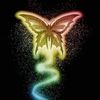 rainbowbutterfly00
