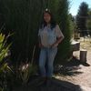 liscynthia