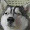 dyicghbqo2d9