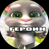 koly_kreg