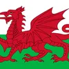ynysmon91