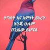 shalom22tesera