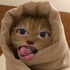 aliviawp_