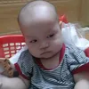 phamthehe
