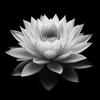 ctuuu_255