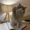 alexgao89