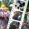 ketut7429