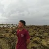 warrenimpas