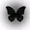 princess_.amal