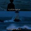 rody_mahmoud71