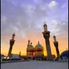 1hussienmohsen