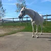 lena.schreck22