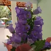 marluciaandressa2003