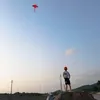 nongsanvip3