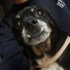 papubrayan0.0