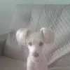 rosilanealves396
