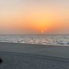 reeham647