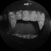 .valenteen.dray