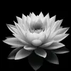 thuythanhdang73