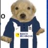 gtollantero