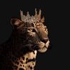 cheetah2_7