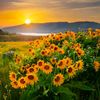 yakup_trk21