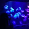 trannga061204