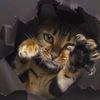 azly_76
