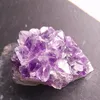 amanda_coetmeur
