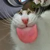 mirdoudxv3