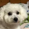 tetsuya724