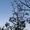 ekaaaaaaa_18