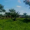 user7505938261061