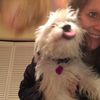 the_wordscout