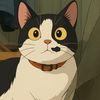 kuritameow