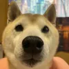 yuki5432380963736
