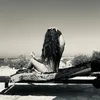 ginevra_loca.telli